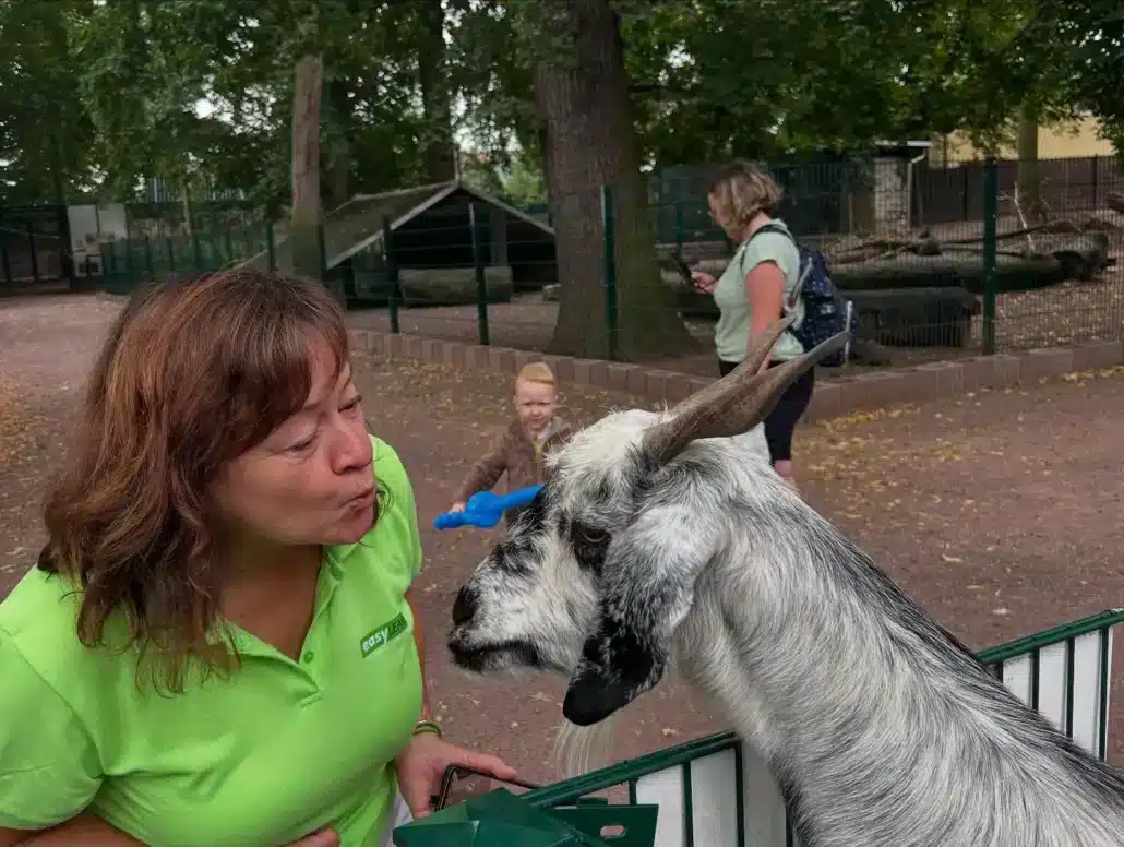 Tierpark Ziege